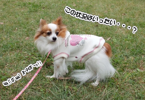 2010_サザオフ1-2