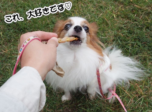 2010_サザオフ1-17