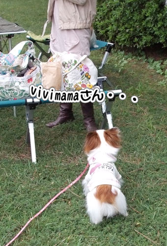 2010_サザオフ1-18