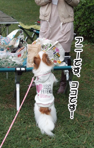 2010_サザオフ1-19