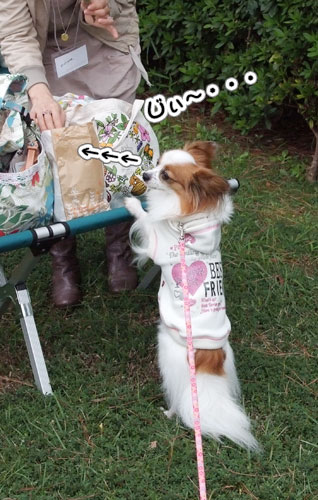 2010_サザオフ1-20