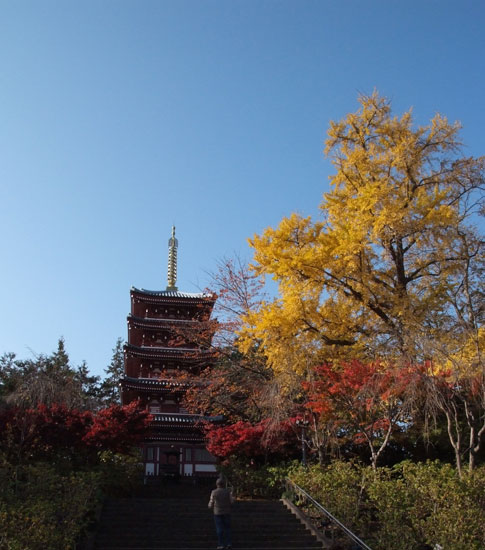 10.11.28_本土寺の紅葉2