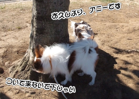 11.1.30_横浜オフ会2-7