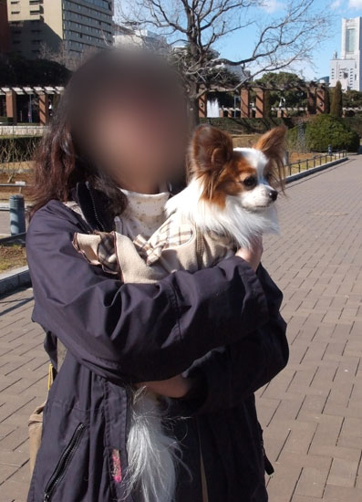 11.1.30_横浜オフ会2-14
