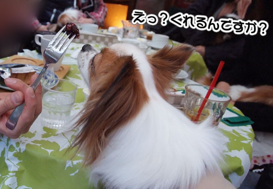 11.1.30_横浜オフ会2-27