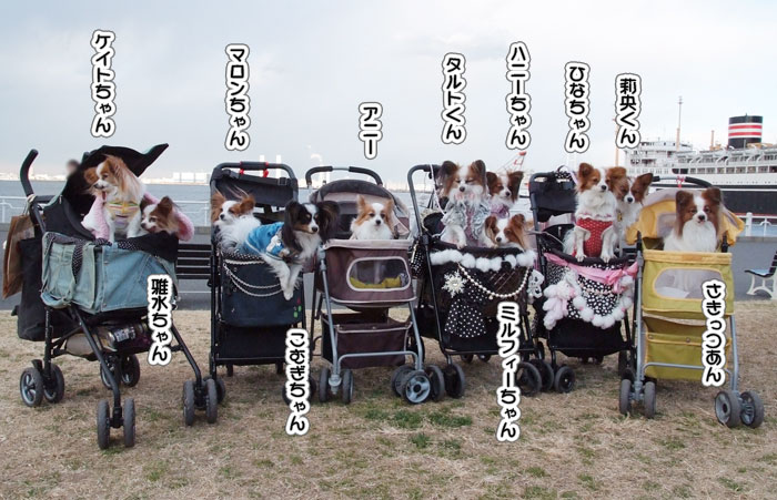 11.1.30_横浜オフ会3-12