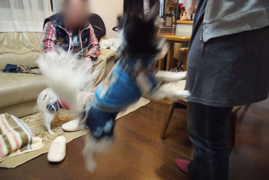 11.1.30_横浜オフ会3-21
