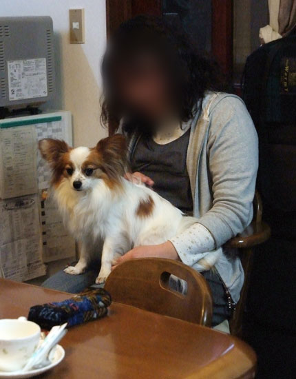 11.1.30_横浜オフ会3-28
