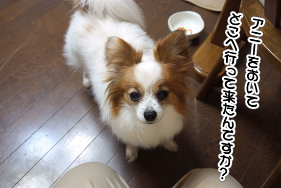 11.5.21_京成バラ園22
