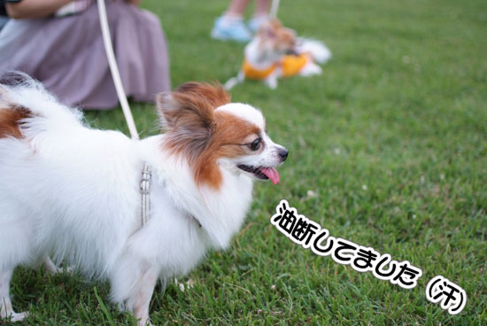 11.8.6_幕張海浜公園7