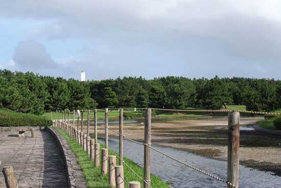 11.9.3_稲毛海浜公園6