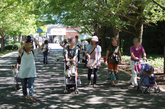 11.9.18_昭和記念公園オフ会1-1