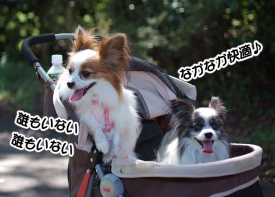 11.9.18_昭和記念公園オフ会1-4