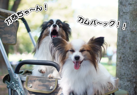 11.9.18_昭和記念公園オフ会1-11