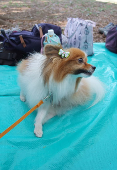 11.9.18_昭和記念公園オフ会1-25