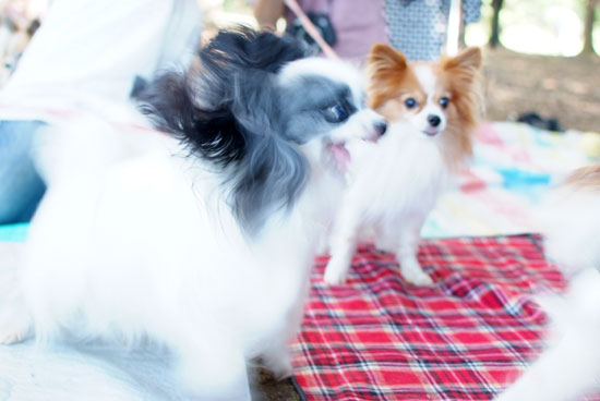 11.9.18_昭和記念公園オフ会1-34