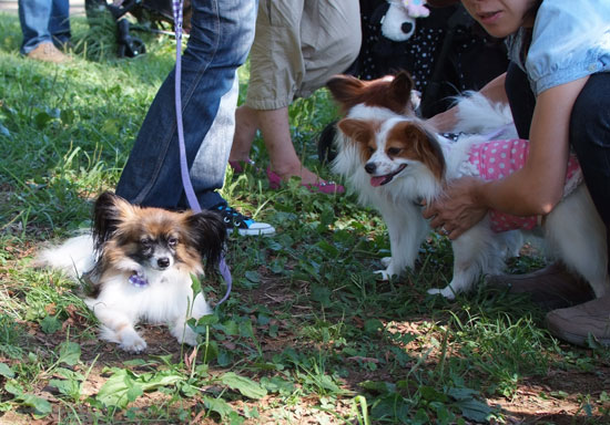 11.9.18_昭和記念公園オフ会2-11