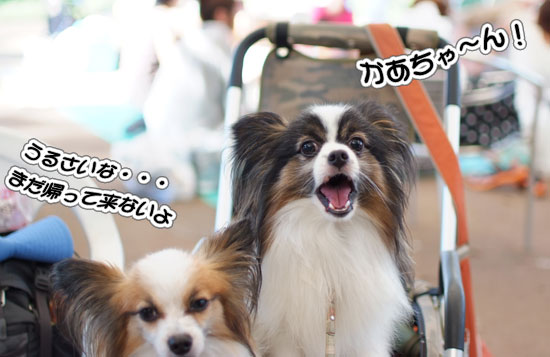 11.9.18_昭和記念公園オフ会2-19