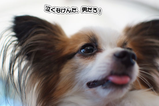 11.9.18_昭和記念公園オフ会2-21