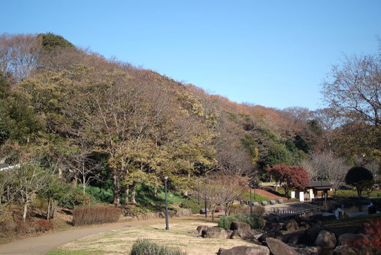 11.12.11_花島公園2