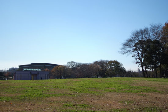 11.12.11_花島公園10