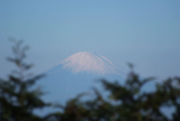 11.12.18_マザー牧場7