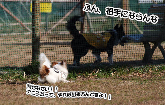 11.12.18_マザー牧場17