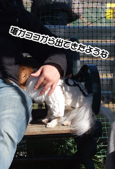 11.12.18_マザー牧場27