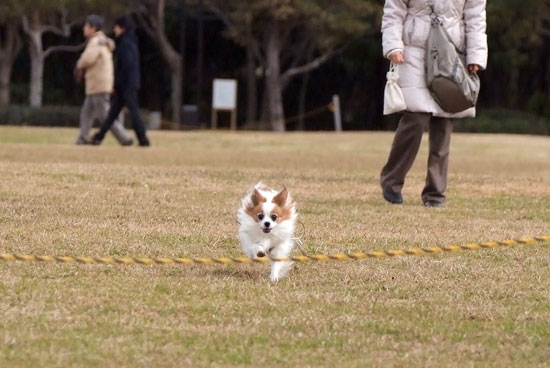 12.1.3_幕張海浜公園1