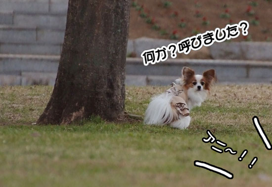 12.1.3_幕張海浜公園3