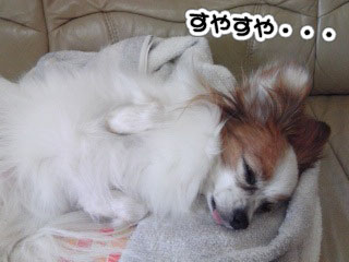 12.1_グデグデ&おねだり1