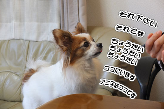 12.1_グデグデ&おねだり8