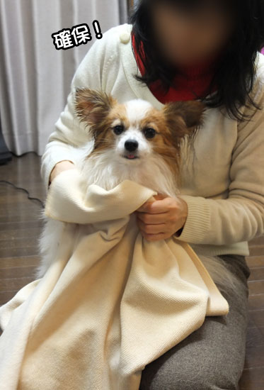 12.2.4_お風呂とお散歩9