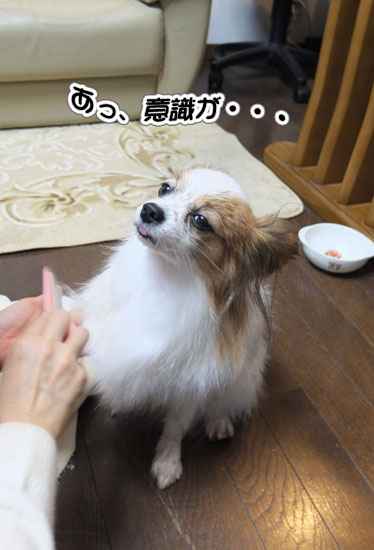 12.2.4_お風呂とお散歩12