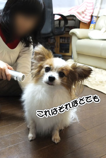 12.2.4_お風呂とお散歩13