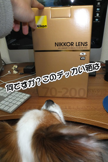 12.2.11_70-200f2.8VRII-1