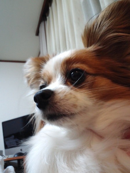 12.2.27_携帯から2