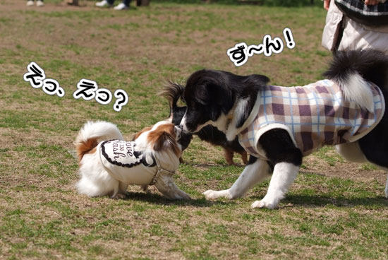 12.3.20_青葉の森2-8
