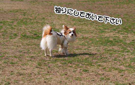 12.3.20_青葉の森2-10
