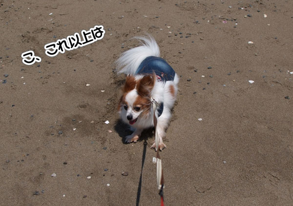 12.5.5_稲毛海浜公園7