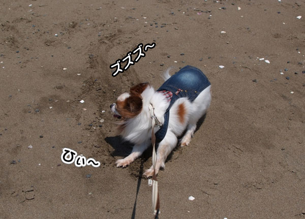 12.5.5_稲毛海浜公園8