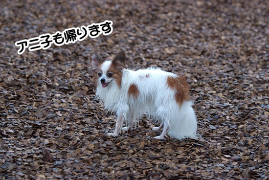 12.8.18_初プール19