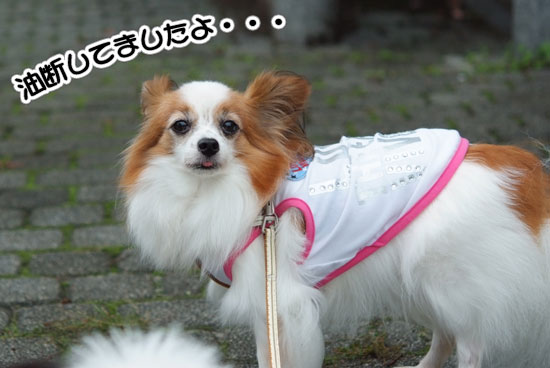 12.10.7_サザオフ1-7