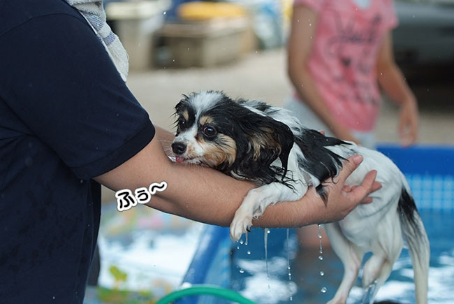 13.7.28_プール&BBQ22