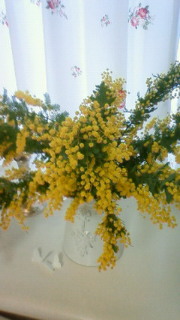 201002081507000.jpg