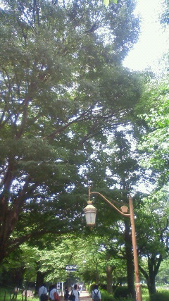 201007051239000.jpg