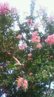 201107241625001.jpg