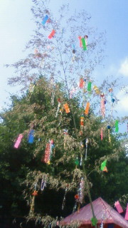 201207090903001.jpg
