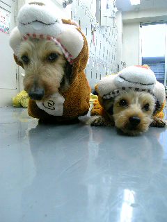 JB&ちゃい
