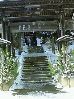 200801021229000.jpg